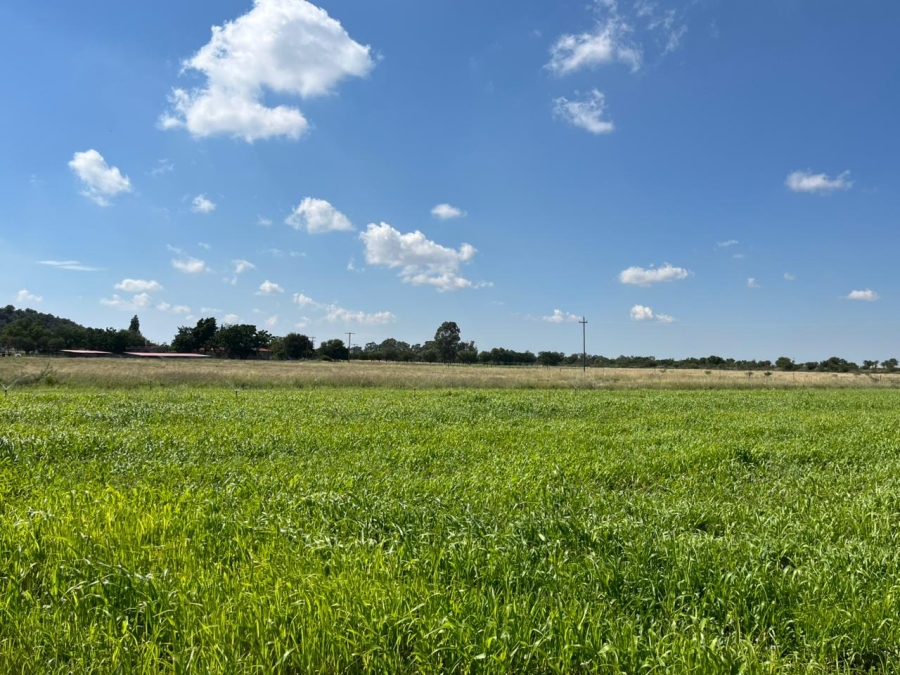 5 Bedroom Property for Sale in Brandfort Rural Free State